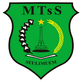 MTsS Seulimeum